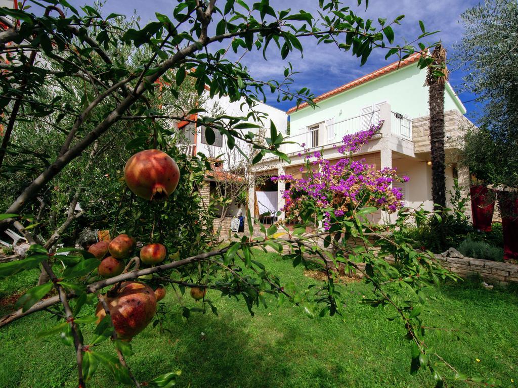Apartment Maslina Bibinje Dış mekan fotoğraf