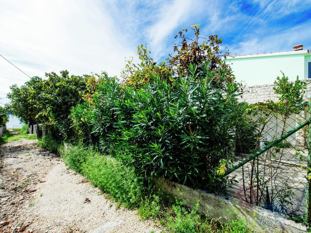 Apartment Maslina Bibinje Dış mekan fotoğraf