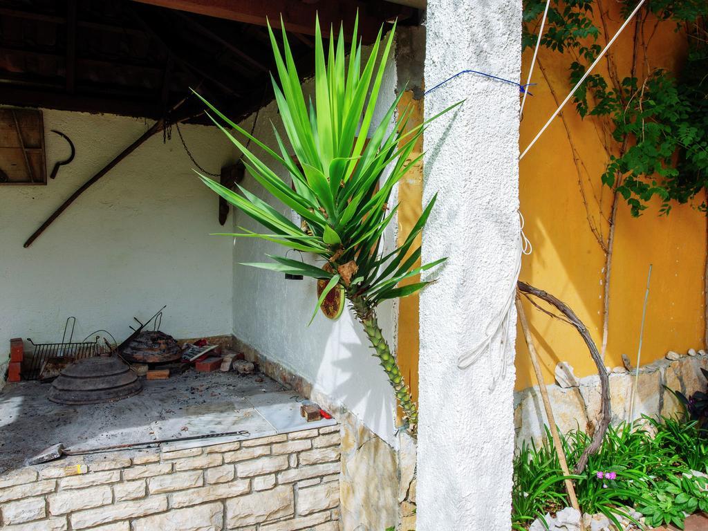 Apartment Maslina Bibinje Dış mekan fotoğraf